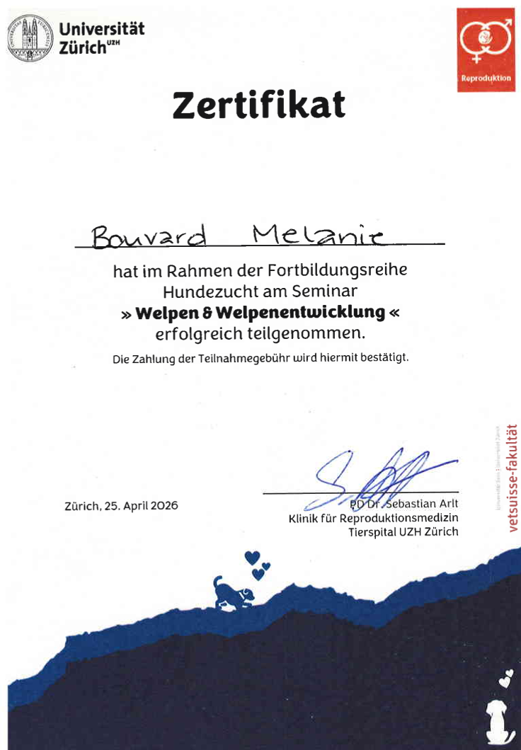 Welpen & Welpenentwicklung